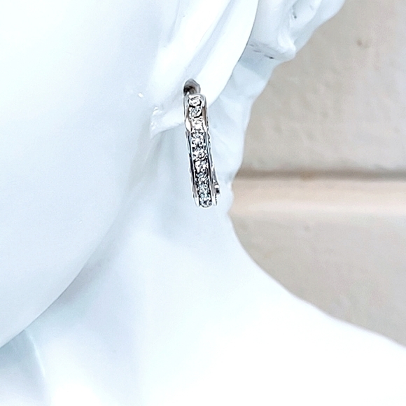 CUBIC ZIRCONIA SPARKLE HOOP STAINLESS STEEL EARRINGS - Picture 2 of 7